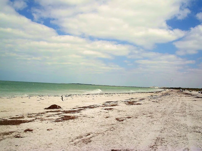 Caladesi island beach 01
