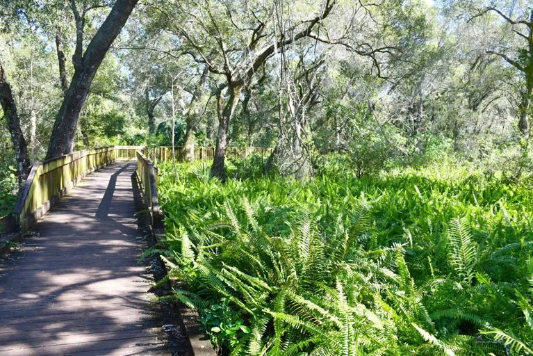 Sawgrass Lake Park — official venue or organizer image