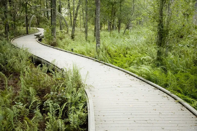 Brooker Creek Preserve — official venue or organizer image