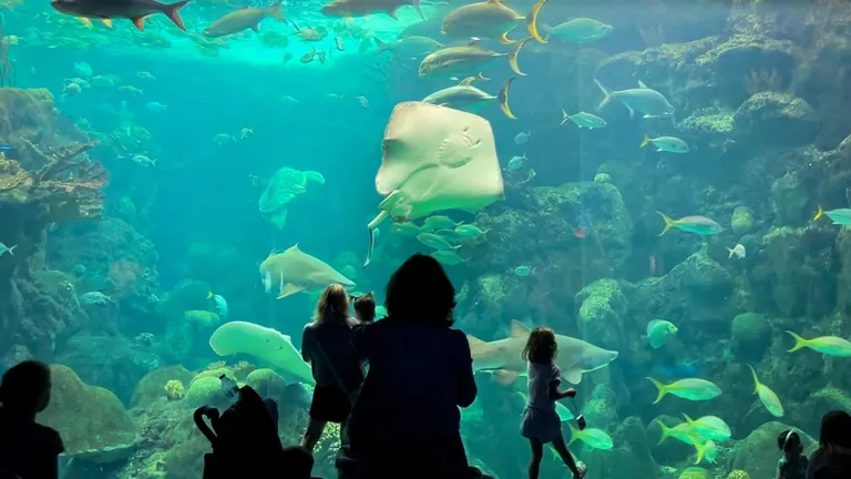 The Florida Aquarium — official venue or organizer image