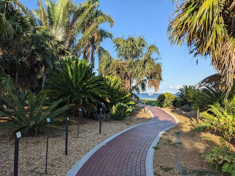 Gizella Kopsick Palm Arboretum