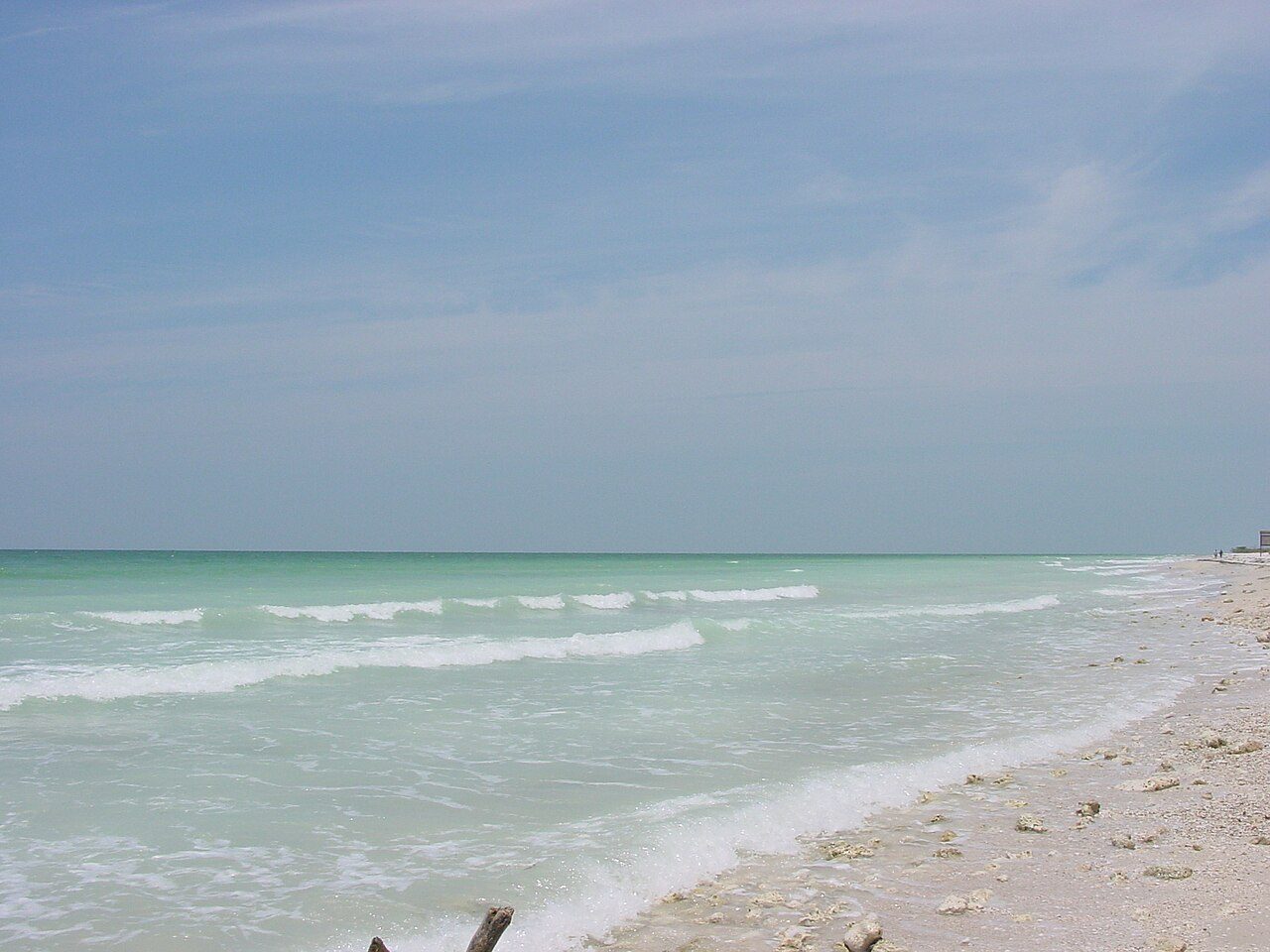 Honeymoon Island State Park (Image 1)