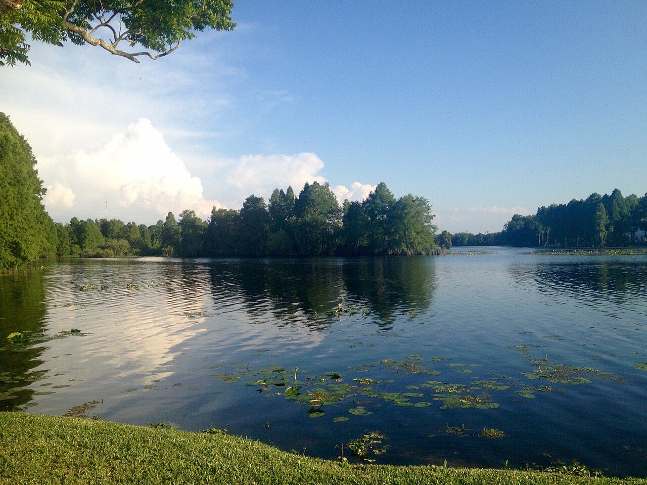Hillsborough River at Lettuce Lake Park